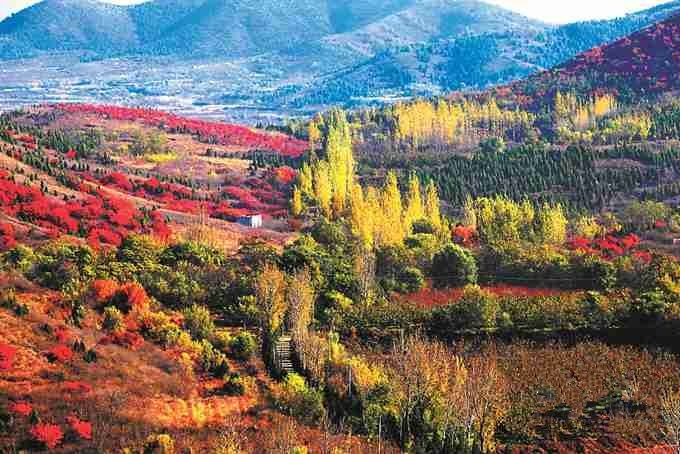 坐标:北京市门头沟区潭柘寺镇;门票:55元.